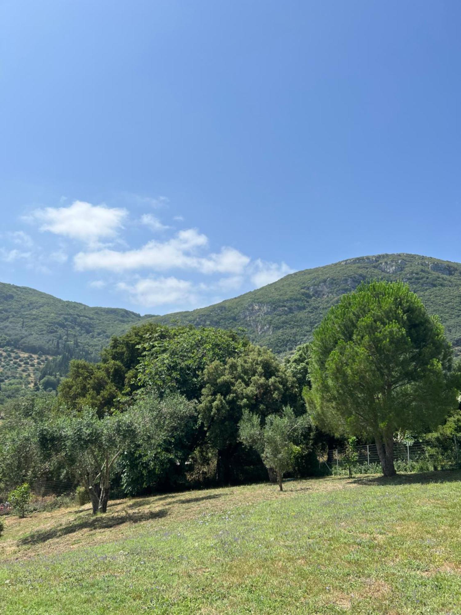 Villa Alexakis Doukádes מראה חיצוני תמונה